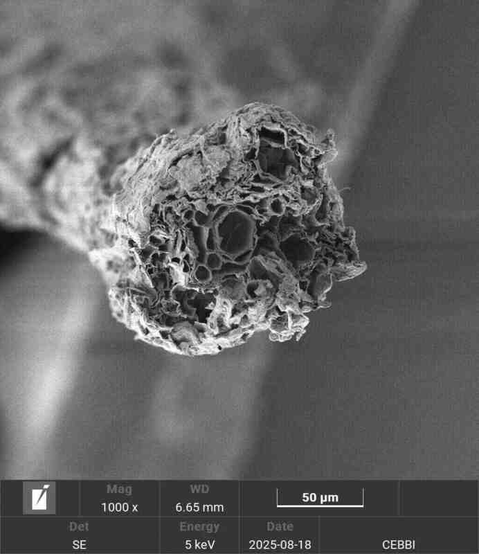 Amostra padrão de referência em microscopia eletrônica de varredura